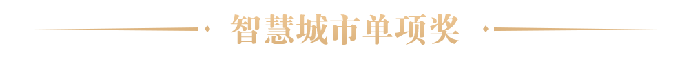 智慧城市單項獎